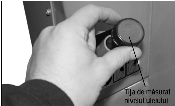 ATIKA ASP 10 N-400 - Cum verific nivelul uleiului? - 2