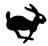 ATIKA ASP 11 N - Symbols machine - 18