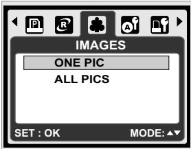 AGFAPHOTO DC-600UW - Setting the Number of Copies to Print - 1