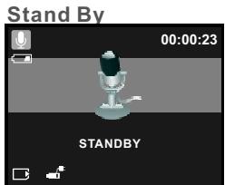 AGFAPHOTO DC-600UW - Voice Recording - 1