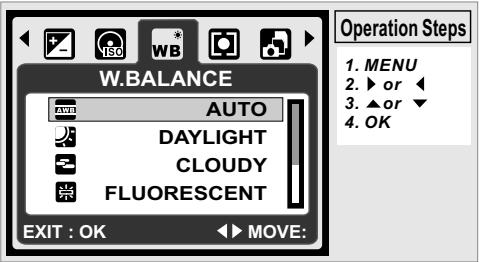 AGFAPHOTO DC-600UW - White Balance - 1