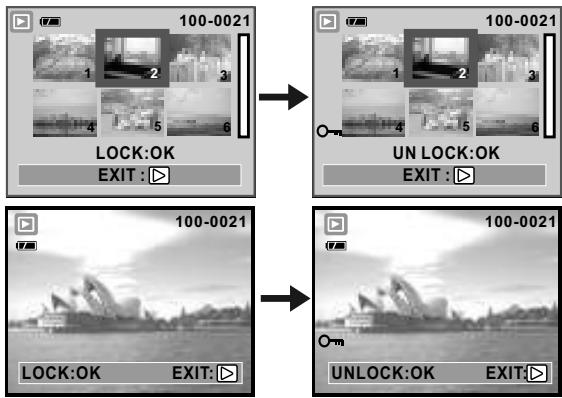 AGFAPHOTO DC-600UW - Set all images with Protection - 1