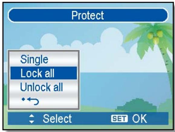 AGFAPHOTO DC-630I - Protecting All Files - 1