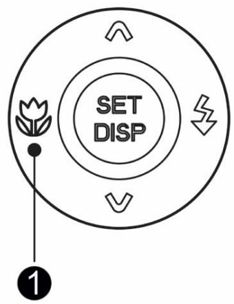 AGFAPHOTO DC-630I - Using the Macro - 4