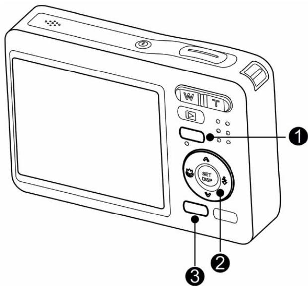 AGFAPHOTO DC-630I - Deleting a Single File - 1