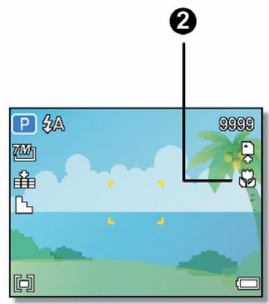 AGFAPHOTO DC-733I - Using the Macro - 2