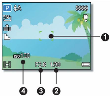 AGFAPHOTO DC-733I - Recording Still Images - 1