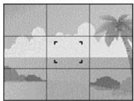 AGFAPHOTO DC-733I - REC mode - 3