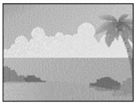 AGFAPHOTO DC-733I - PLAY mode - 4