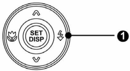 AGFAPHOTO DC-733I - Using the Flash - 7