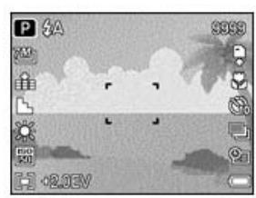 AGFAPHOTO DC-733I - REC mode - 1