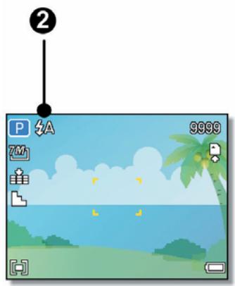 AGFAPHOTO DC-733I - Using the Flash - 8