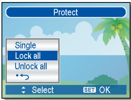 AGFAPHOTO DC-733I - Protecting All Files - 1