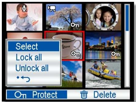 AGFAPHOTO DC-733I - Protecting Multiple Files - 1