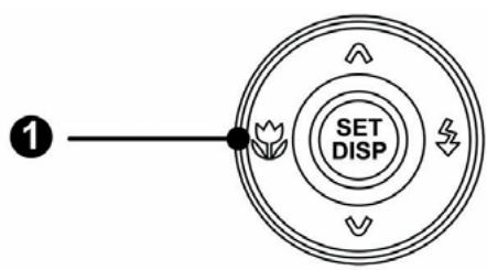 AGFAPHOTO DC-733I - Using the Macro - 1