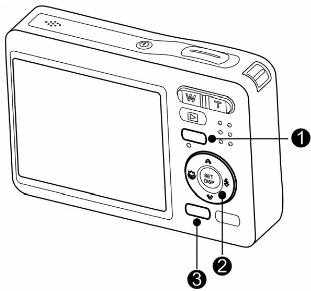 AGFAPHOTO DC-733S - Deleting a Single File - 1