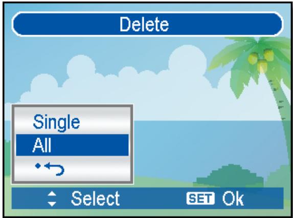 AGFAPHOTO DC-733S - Deleting All Files - 1