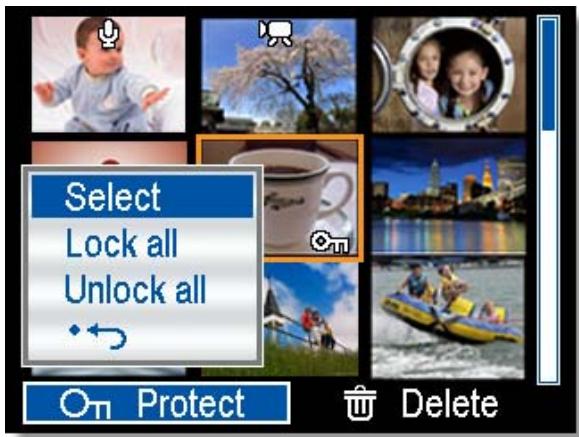 AGFAPHOTO DC-733S - Protecting All Files - 2