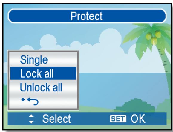 AGFAPHOTO DC-733S - Protecting All Files - 1