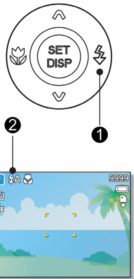 AGFAPHOTO DC-733S - Caution - 1