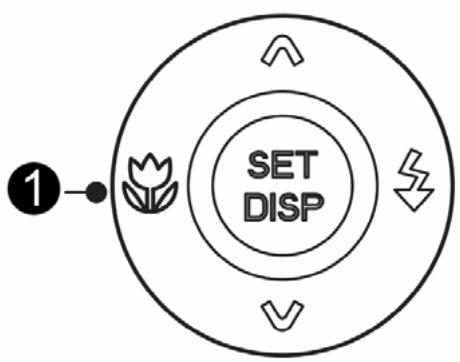 AGFAPHOTO DC-733S - Using the Macro - 4
