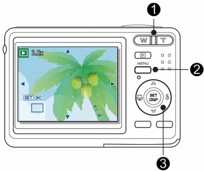 AGFAPHOTO DC-733S - Select an image. - 1