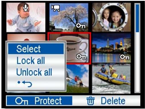 AGFAPHOTO DC-830I - Protecting All Files - 2