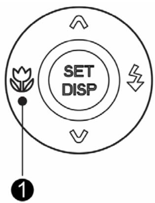 AGFAPHOTO DC-830I - Using the Macro - 4