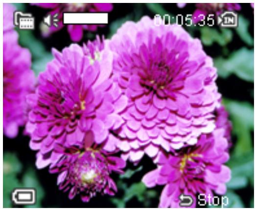 AGFAPHOTO DV-5000Z - Mode Indicators - 1