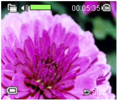 AGFAPHOTO DV-5000Z - Shutter Release - 1