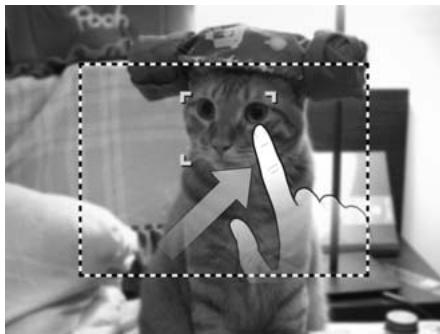AGFAPHOTO OPTIMA 104 - How to use Touch shot: - 1