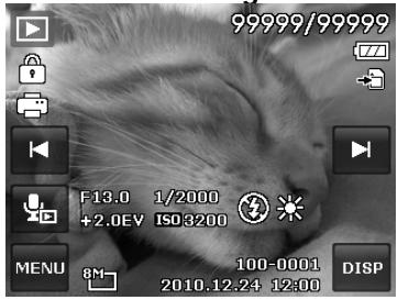 AGFAPHOTO OPTIMA 104 - Viewing in Single Navigation Mode - 1