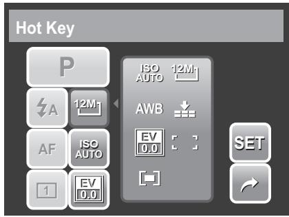 AGFAPHOTO OPTIMA 2338MT - Setting Hot Key - 2
