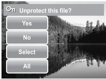 AGFAPHOTO OPTIMA 2338MT - To unprotect files - 4