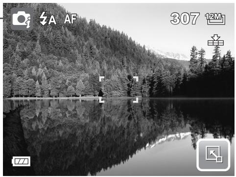 AGFAPHOTO OPTIMA 2338MT - Intelligent scene icon. - 1