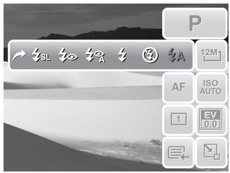 AGFAPHOTO OPTIMA 2338MT - Setting Flash - 5