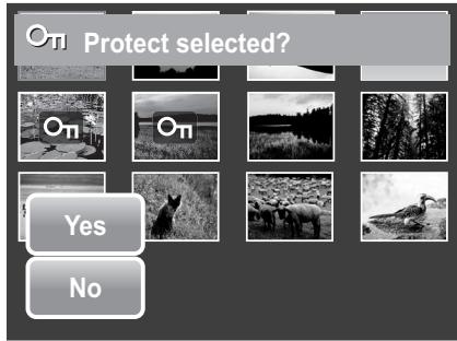 AGFAPHOTO OPTIMA 2338MT - To unprotect files - 3