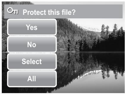 AGFAPHOTO OPTIMA 2338MT - To unprotect files - 1