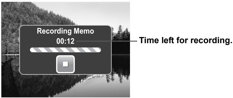 AGFAPHOTO OPTIMA 2338MT - To record voice memo: - 2