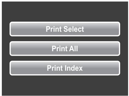 AGFAPHOTO OPTIMA 2338MT - Connecting the Camera to a Printer - 3