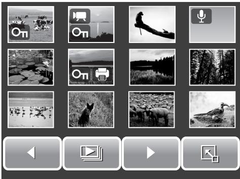 AGFAPHOTO OPTIMA 2338MT - Viewing-Thumbs nails - 1