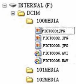 AGFAPHOTO SENSOR 505-X - Folder Structure - 1