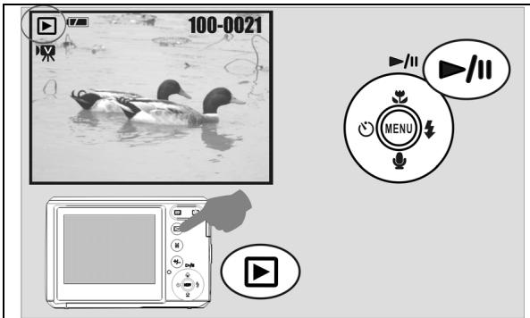 AGFAPHOTO SENSOR 530S - Playing Movie Clips - 1