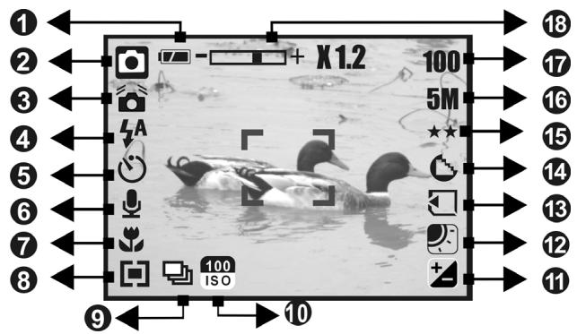 AGFAPHOTO SENSOR 530S - Display Information - 1