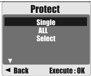AGFAPHOTO SENSOR 530S - Protecting Selected Image(s) - 1