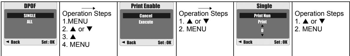 AGFAPHOTO SENSOR 530S - DPOF - 2