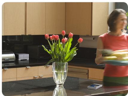 SONOS BUNDLE 250 - New features and music services with automatic updates - 4