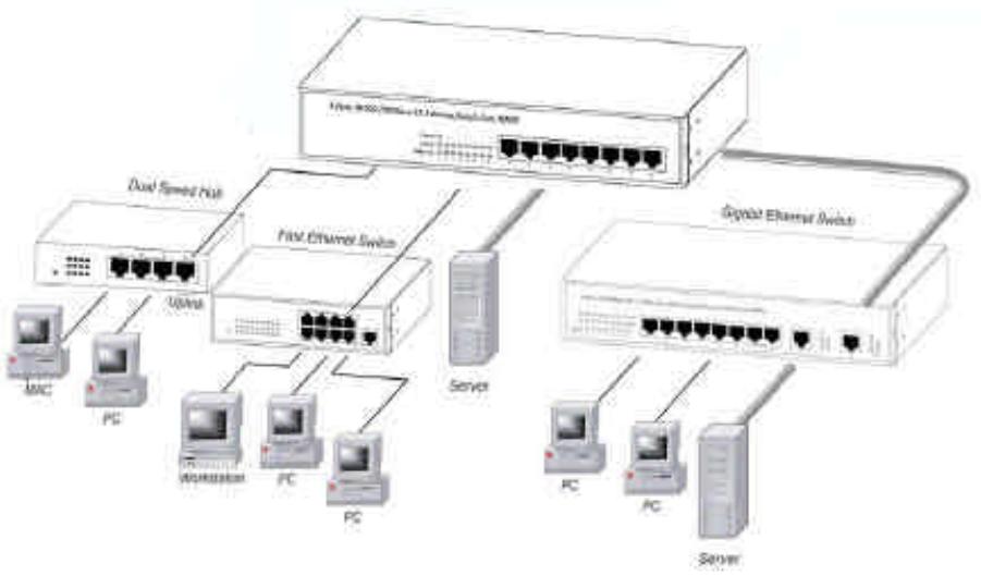 COMET LABS GS8+ - Diagram of extend application by Up-Link - 1