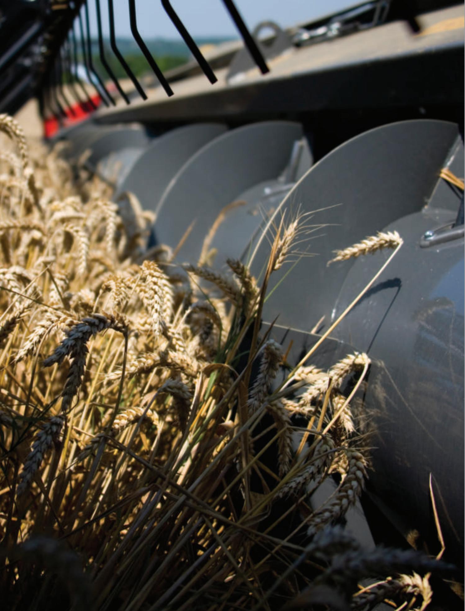 MASSEY FERGUSON 7200 ACTIVA - A smooth first contact - 1