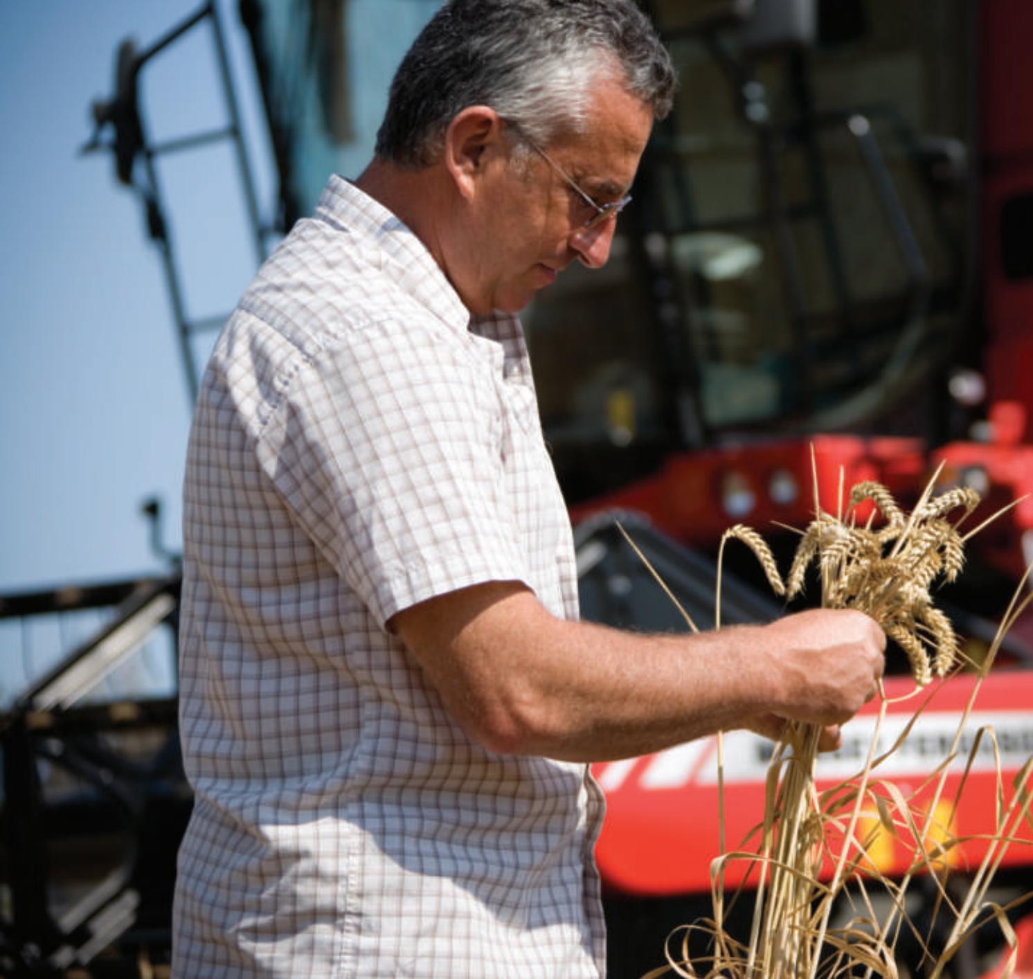 MASSEY FERGUSON 7200 ACTIVA - Straightforward combines that simply get the job done - 1